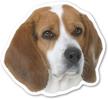 magnet america beagle logo