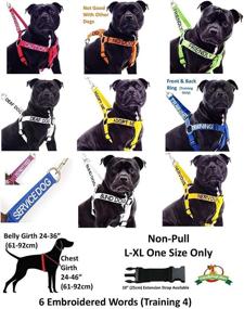 img 1 attached to DEAF DOG White Color Coded Semi-Choke Collar (L-XXL) - Prevent Accidents & Alert Others to Your Dog's Limited Hearing