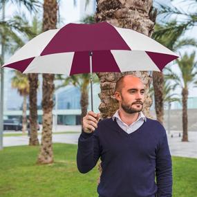 img 1 attached to 🌂 Высокооцененный зонтик StrombergBrand Spectrum: самые продаваемые автоматические зонты