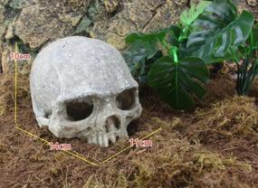 img 3 attached to 🐠 Hewnda Aquarium Decor: Resin Artificial Head Skeleton Decoration - Otaru Aquarium Decorative Cave Landscape for Pet Reptile House