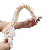 🏋️ miniflex herniated chiropractors: ultrassist logo