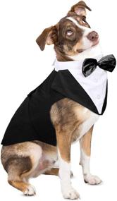 img 4 attached to 🐶 ASENKU Dog Tuxedo Bandana Set - Formal Wedding Attire for Large and Medium Dogs