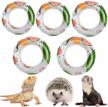 bearded inflatable reptile hedgehog accessories logo