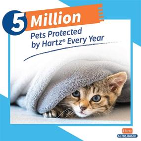 img 2 attached to 🐱 Hartz UltraGuard Pro Flea & Tick Collar for Cats and Kittens, Long-Lasting 7 Month Flea and Tick Prevention and Protection, 1 Collar