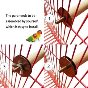 img 1 attached to 🦜 Natural Wood Bird Cage Gym Playset with Climbing Ladder, Swing Toy, Rope Perch | Ideal for Parakeets, Cockatiels, Conures, Lovebirds, Finches, African Greys, Macaws, Amazons, and Budgies