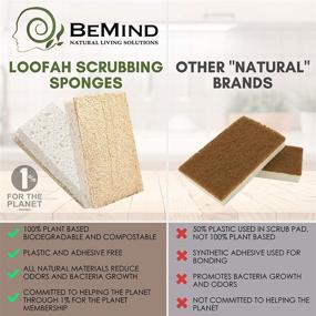 img 2 attached to 🌿 BeMind Loofah Dish Sponge Set of 6: Eco-Friendly & Biodegradable Sponges for Your Zero Waste Kitchen