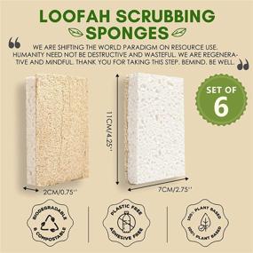 img 3 attached to 🌿 BeMind Loofah Dish Sponge Set of 6: Eco-Friendly & Biodegradable Sponges for Your Zero Waste Kitchen