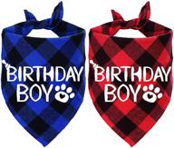 stmk birthday bandana plaid triangle логотип