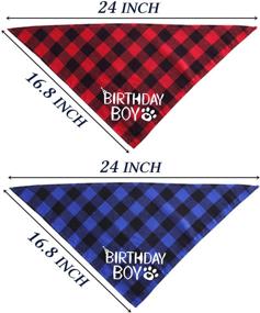 img 1 attached to STMK Birthday Bandana Plaid Triangle