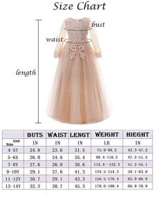 img 1 attached to Mallimoda Lace Tulle Flower Princess Wedding Dress: Perfect for Toddler and Baby Girls
