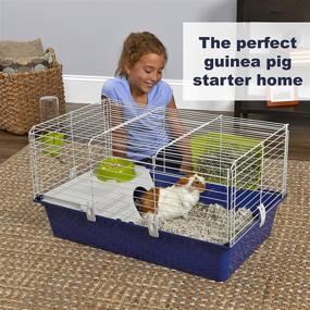 img 3 attached to 🐹 Large Blue MidWest Homes for Pets Critterville Cleo Guinea Pig Cage with Included Accessories (Model 171CL)