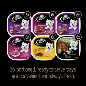 img 3 attached to 🐶 Cesar Gourmet Wet Dog Food Assortment – 36 Packs