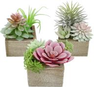 🌿 mingfuxin mini artificial succulents plants in pots, assorted green faux succulents, small artificial plants for home office decor, set of 3 logo