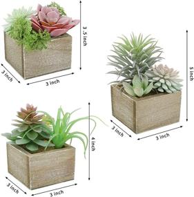 img 3 attached to 🌿 Mingfuxin Mini Artificial Succulents Plants in Pots, Assorted Green Faux Succulents, Small Artificial Plants for Home Office Decor, Set of 3