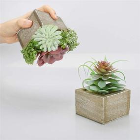 img 2 attached to 🌿 Mingfuxin Mini Artificial Succulents Plants in Pots, Assorted Green Faux Succulents, Small Artificial Plants for Home Office Decor, Set of 3