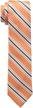 wembley big boys stripe aqua boys' accessories and neckties logo