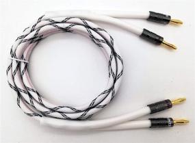 img 2 attached to 🔊 HannLinte 12AWG Кабель для акустической проводки | Премиум проволочный акустический кабель | Двойные позолоченные штекеры банан | В стену CL2 | Медь без кислорода (OFC) | 6 футов, белый