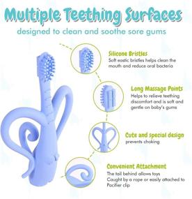 img 3 attached to 🐘 BPA Free Infant Toothbrush - Soft Bristles, Training Toothbrush for Babies - Elephant Design, Infant-to-Toddler Transition, Light Blue