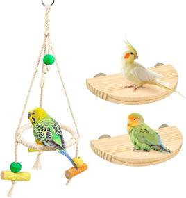 img 4 attached to Parakeet Platform Playground Lovebird Cockatiel