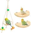 parakeet platform playground lovebird cockatiel logo