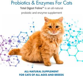 img 2 attached to 🐈 Advanced Feline Probiotics and Enzymes: All-Natural Digestive System Supplement for Cats - 120 Servings