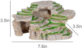 img 3 attached to 🦎 WACOOL Reptile Caves: Reptile Habitat Decor, Resin Ledge for Aquariums & Terrariums, Basking Rocks for Bearded Dragon, Gecko, Lizard