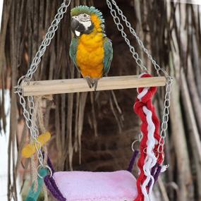 img 1 attached to 🐦 Colorful Climbing Toy Set with Hammock for Pet Parrots, Ferrets, Rats, Hamsters, and Small Animals - BeSimple Swing Hanging Ladder