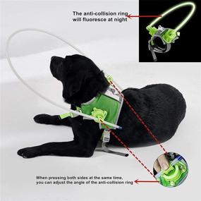 img 3 attached to 🐶 Large Dog Halo Collar and Protective Vest Ring for Blind Pets - Prevent Collisions & Build Confidence with Pet Safe Guiding Device and Accessories