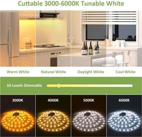 img 3 attached to 🌈 Novostella 20ft Tunable White LED Strip Light Kit 3000K-6000K Dimmable 24V LED Tape Light with Remote - Flexible Rope LED Ribbon for Bedroom, Home Lighting, Mirror, Kitchen, Bar, Cabinet - Daylight & Warm White