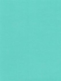 img 3 attached to Blu Raspberry Teal Blue Cardstock Paper - 8.5x11 65lb Cover - 50 Sheets by Cardstock Warehouse