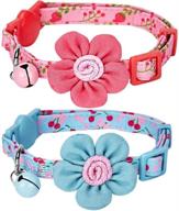 enhance your cat's safety and style with blueberry pet all in one breakaway cat collars – customize yours now! logo