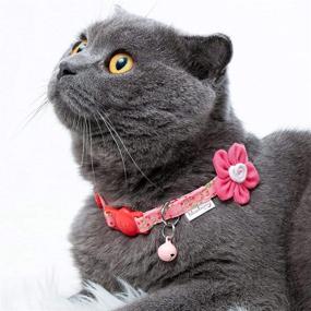 img 3 attached to Enhance Your Cat's Safety and Style with Blueberry Pet All in One Breakaway Cat Collars – Customize Yours Now!