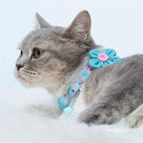 img 2 attached to Enhance Your Cat's Safety and Style with Blueberry Pet All in One Breakaway Cat Collars – Customize Yours Now!