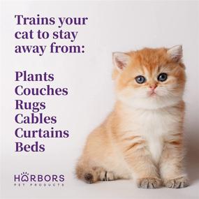 img 2 attached to Спрей отпугивающий котов Habor: ароматическое решение для дрессировки в помещении - 4 унции для мебели и растений.