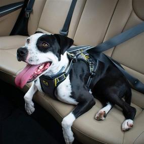 img 1 attached to 🐶 Kurgo Car Safety Dog Harness with Crash Tested Design, Integrated Seatbelt Tether Loop, Pet Vehicle Restraint Belt - Ideal for Travel & Impact Safety - Suitable for Small, Medium & Large Pets