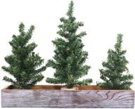winlyn 3 pack mini canadian pine trees: charming artificial christmas trees with rustic planter for holiday tabletop decoration логотип