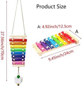 img 3 attached to 🐔 Enhance Your Flock's Entertainment and Nutrition with Vehomy Chicken Xylophone Toy and Vegetable Hanging Feeder Combo - Set of 2