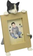 pets small cat frame логотип