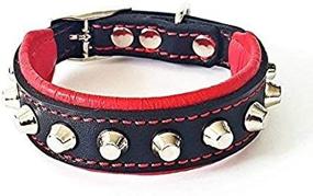 img 2 attached to 🐶 Premium Bestia Rocky Studded Dog Collar - Handmade, 100% Leather, Soft Padded, 7 Sizes - French Bulldog to German Shepherd, Made in Europe