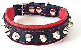 img 1 attached to 🐶 Premium Bestia Rocky Studded Dog Collar - Handmade, 100% Leather, Soft Padded, 7 Sizes - French Bulldog to German Shepherd, Made in Europe