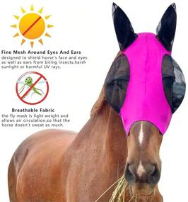 img 1 attached to 🐴 PAWCUSS Pink Horse Fly Mask - Fly Masks for Optimal Equine Care