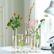 flowers hydroponic hinged display centerpieces logo