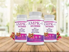 img 3 attached to 💪 AMPK-4 Activator: Energize, Promote Longevity, and Boost Metabolism with Berberine and Forskolin - 90 Capsules/45 Servings