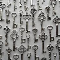 🔑 silver 48-piece key set logo