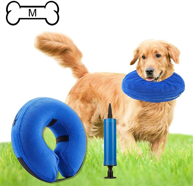 inflatable recovery surgery preventing licking 로고