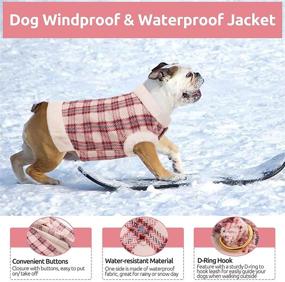 img 1 attached to Dasior Thickened Fleece Jacket Windproof Dogs