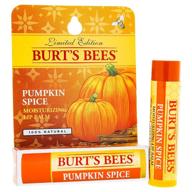 🎃 burt's bees lip balm blister, pumpkin spice, 0.15 oz – enhanced for seo logo