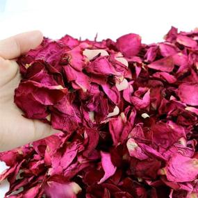 img 2 attached to Hslife 150 Grams/ 5.3 OZ Real Red 🌹 Rose Petals for Wedding Decoration, Bath, Crafts & More