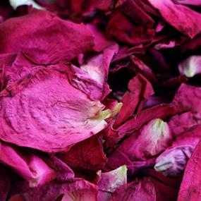img 3 attached to Hslife 150 Grams/ 5.3 OZ Real Red 🌹 Rose Petals for Wedding Decoration, Bath, Crafts & More