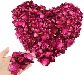 img 4 attached to Hslife 150 Grams/ 5.3 OZ Real Red 🌹 Rose Petals for Wedding Decoration, Bath, Crafts & More